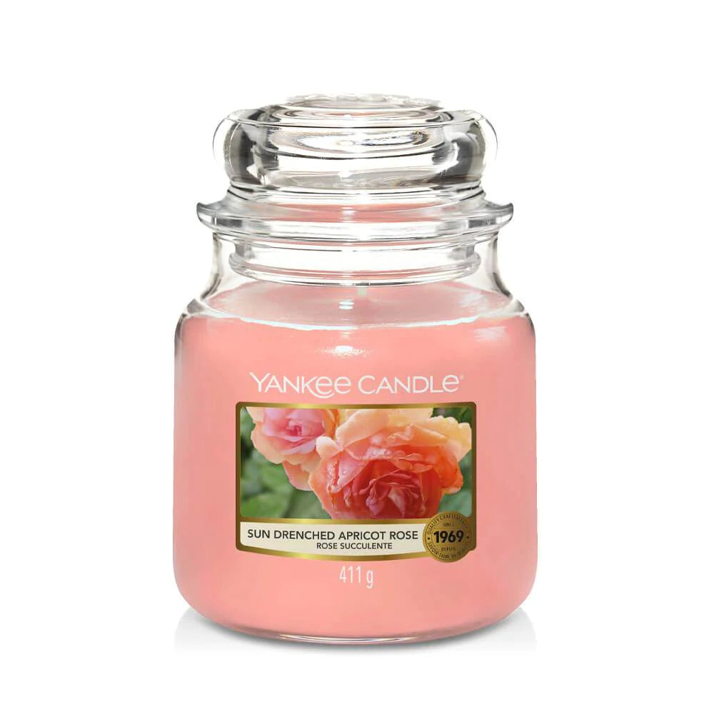 SUN-DRECHED APRICOT ROSE